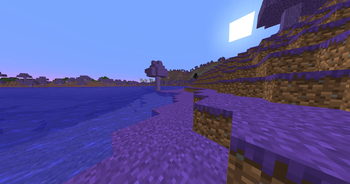Amethyst Forest