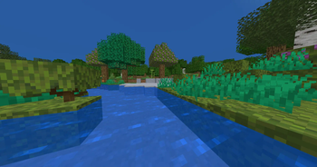Lush Forest