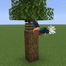 Elytra_B
