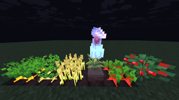 Harvest highlights