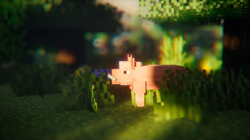 Custom pig model