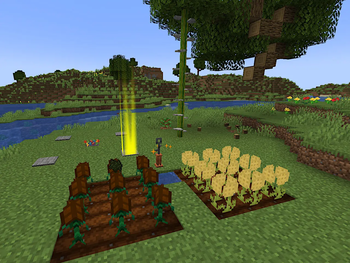 Crafty Plants