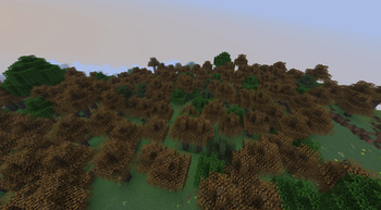 White Tail Trees in Forests
