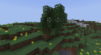 Pastel Rainbow Trees in medow