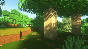 Forest v1.2 Fixed