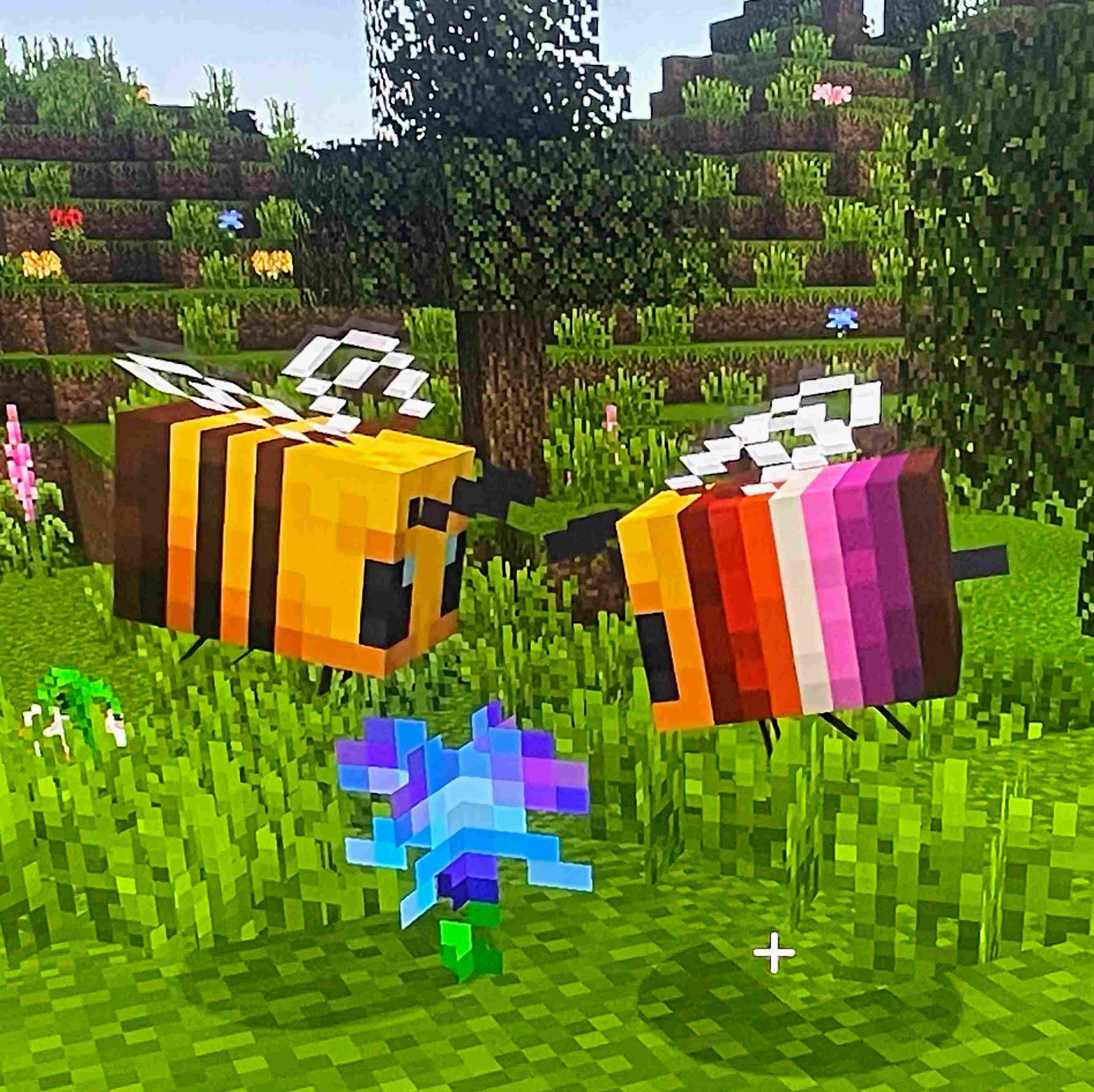 NyaBox