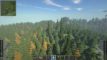 Immense forest