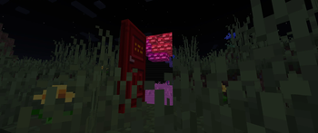 The Forgotten Man — screenshot 1