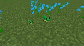Cool Lizard