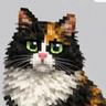 Disha Cat