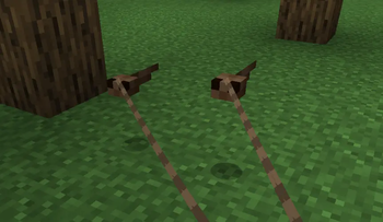 Leashed Tadpoles