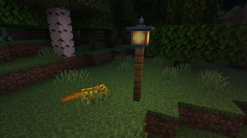 Wayward Lantern
