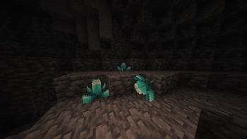 Taydenite spawns bellow layer Y=0 as crystals