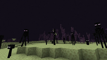 Megaenderman Orders