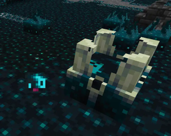 Void Burrow Showcase