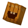 silly pumpkin