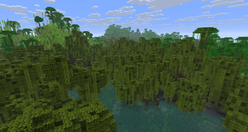 Mangrove Swamp