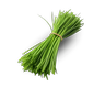 szczypior_