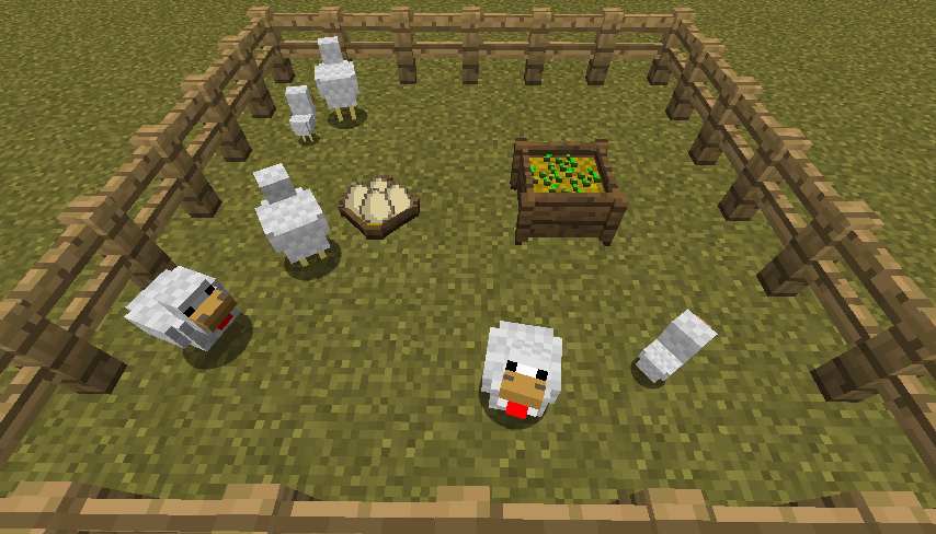 Chicken Nest and Feeding Trough