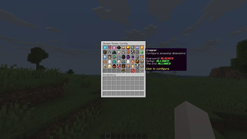 Config menu