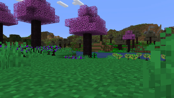 Trees in the Wild!