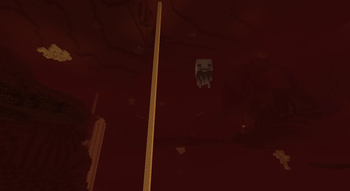 Nether