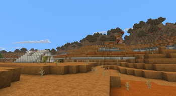 Wooden badlands
