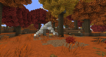 Dapled forest