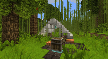 Bamboo jungle