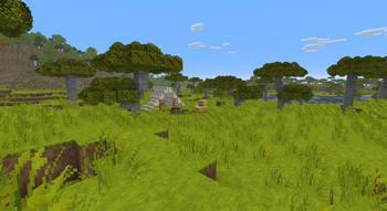 Savana forest