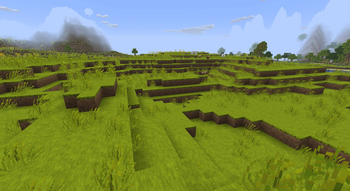 Sunflower plains