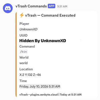 Command Execution Log.