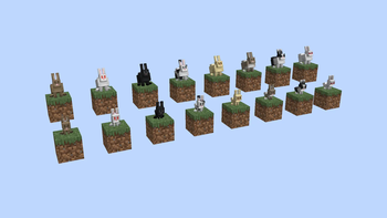 New Variants