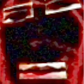 D33P 1И THE C4V3$