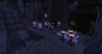 Pale Garden Night