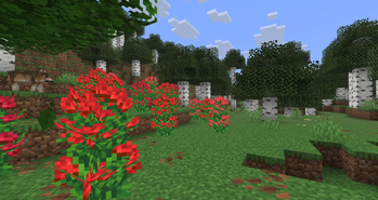 Rose Bushes and Wolf