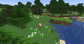 Flower Forest