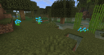 Blue Orchids in a Swamp
