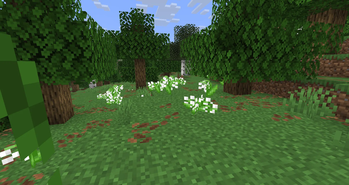 Lily of the Valley