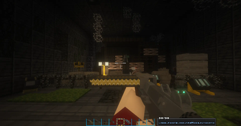 METRO Vic's Point Blank