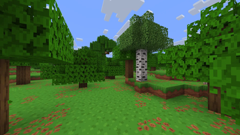 Forest