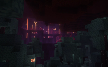Nether Warped Forest