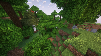 A forest