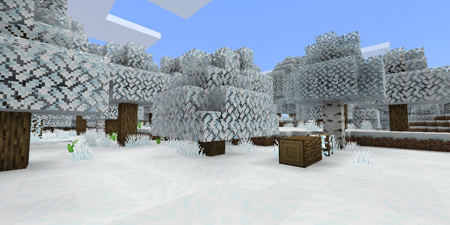 A Forest. The Grass and Leaves all appear snowy, though there are no actual snow layers on them.