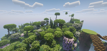 Rainbow Forest Overview
