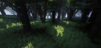 Dark Forest
