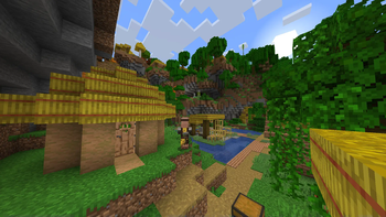 New Village Types