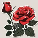 RedRosr Studio