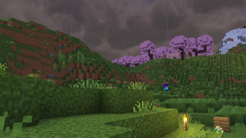 Rainy Skies