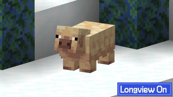 Longview Comparison (On)